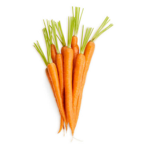 Featued Fresh Vegetables