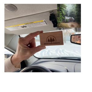 cabin in the wood car air freshener