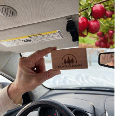 Apple Air Freshener for Car: Revive Your Vehicle’s Interior Mood